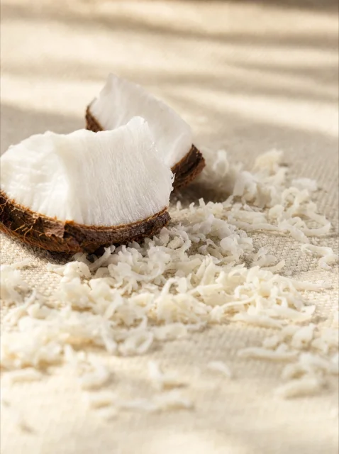 Fresh coconut and shredded coconut